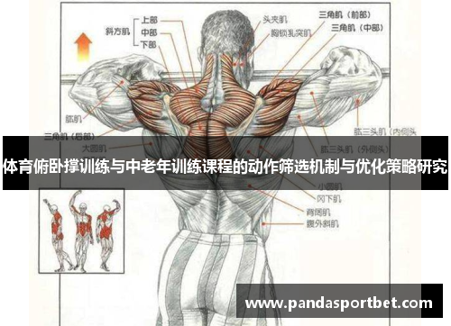 体育俯卧撑训练与中老年训练课程的动作筛选机制与优化策略研究