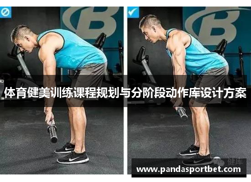 体育健美训练课程规划与分阶段动作库设计方案