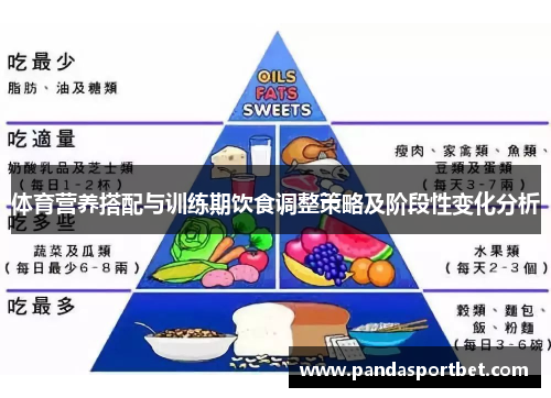 体育营养搭配与训练期饮食调整策略及阶段性变化分析